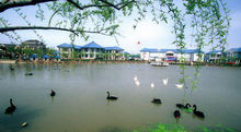 申隆生態(tài)園